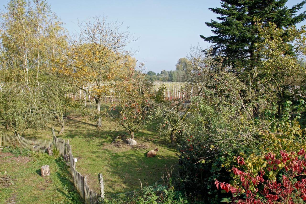 Bed and Breakfast Hof Van Loverrijk à Lierre Extérieur photo